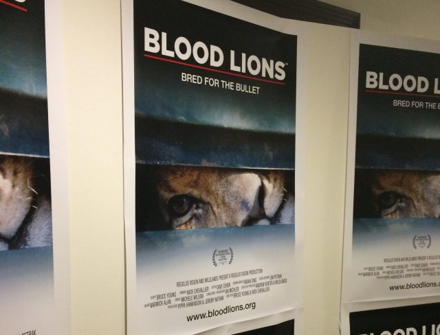 Blood Lions film Poster