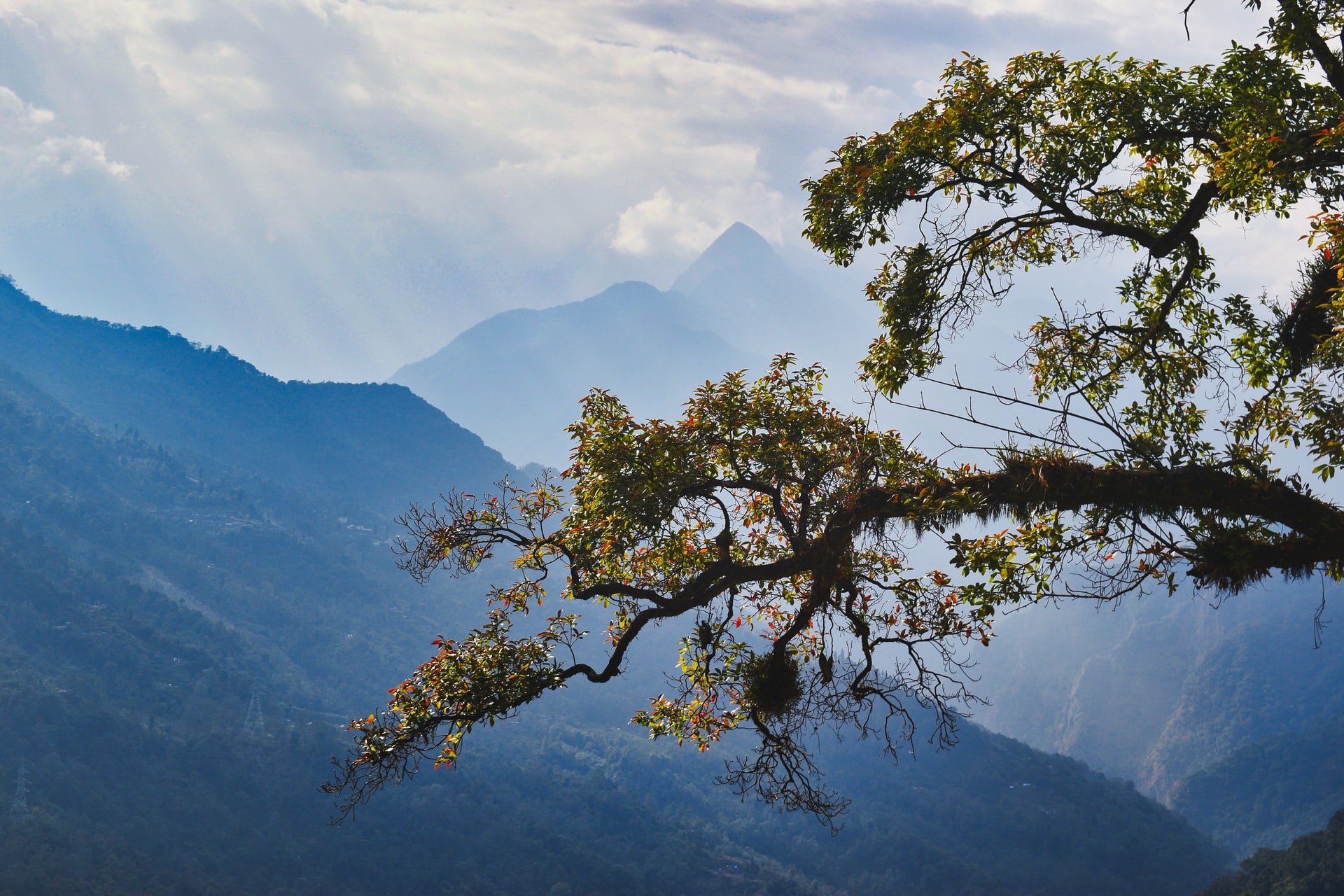 Sikkim in India is little question considered one of many world’s most fascinating areas for birding. Because of this.